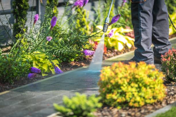 Best Commercial Pressure Washing in Aberdeen, ID
